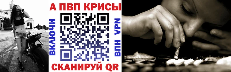 где найти   Кемь  Alpha-PVP СК 