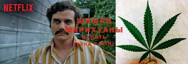дмт Алзамай