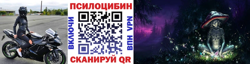 Галлюциногенные грибы Psilocybe  Кемь 