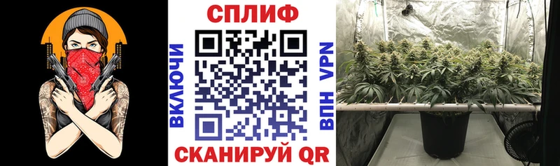 МАРИХУАНА THC 21% Кемь
